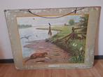 Schoolplaat 1934, Antiek en Kunst, Antiek | Schoolplaten, Ophalen, Natuur en Biologie