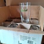 12 x Grolsch Schout glas / London glass nieuw in doos, Ophalen of Verzenden, Zo goed als nieuw, Glas of Glazen, Grolsch