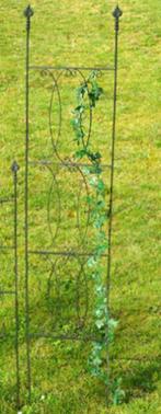 Mooi hoog Plantenrek, plantenklimrek, tuinhek, rek, zwart, Ophalen of Verzenden, Nieuw