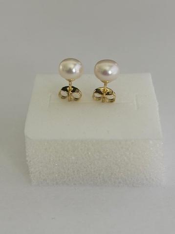 Parel Oorbellen witte Akoya Parels 6mm 14K Goud, Minimalisch beschikbaar voor biedingen