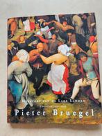 Boek : Pieter Bruegel meesters van de lage landen z.g.a.n., Ophalen of Verzenden, Zo goed als nieuw, Pieter Bruegel