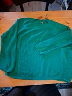 Appelgroene trui, maat XL Hema., Kleding | Dames, Grote Maten, Ophalen of Verzenden, Zo goed als nieuw, Groen, Trui of Vest