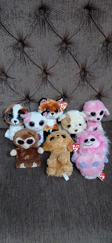Ty Beanie Boo Knuffels - Leuk voor Sinterklaas! beschikbaar voor biedingen