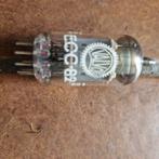 Philips ECC82, Ophalen of Verzenden, Nieuw