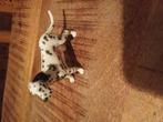 Schleich dalmatier Reu nieuwe met vaantje, Ophalen of Verzenden, Zo goed als nieuw, Paard, Beeldje of Figuurtje