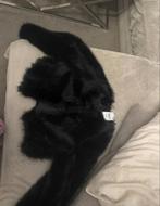 Fur coat XS (valt als XXS), Ophalen of Verzenden, Gedragen