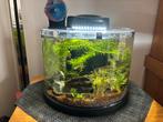 Te koop 2x aquarium, Dieren en Toebehoren, Vissen | Aquaria en Toebehoren, Ophalen, Gebruikt, Gevuld zoetwateraquarium