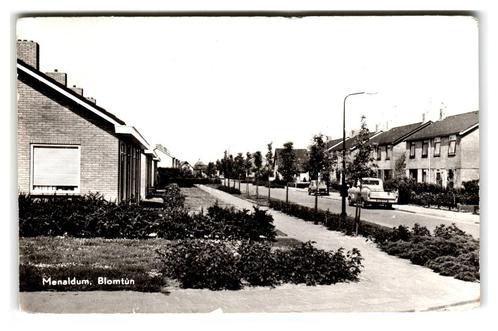 Menaldum, Blomtùn, Verzamelen, Ansichtkaarten | Nederland, Ongelopen, Friesland, 1960 tot 1980, Verzenden
