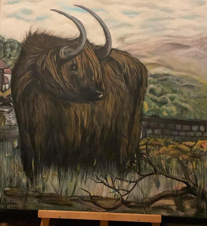 Stoere Schotse Hooglander - Aaltje Wals-eigen werk, Antiek en Kunst, Kunst | Schilderijen | Klassiek, Ophalen of Verzenden