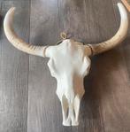 Wanddecoratieve schedel, Ophalen, Zo goed als nieuw