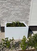 Vierkante of rechthoekige stalen plantenbakken, 100 cm of meer, Nieuw, Ophalen of Verzenden, Metaal