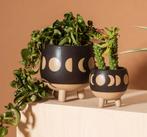 GEZOCHT: bloempot met manen, Rond, Ophalen of Verzenden, Zo goed als nieuw, Minder dan 25 cm