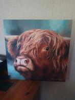 Canvas Schotse Hooglander, Ophalen