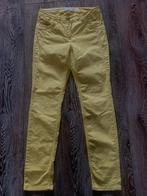 Schitterende orginele cecil broek maat 29, Zo goed als nieuw, Lang, Cecil, Ophalen