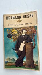Hermann Hesse - Peter Camenzind, Ophalen, Zo goed als nieuw