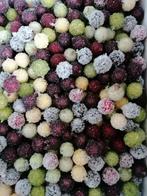 GESUIKERD SIERFRUIT (GLOEDNIEUW)., Ophalen of Verzenden, Nieuw, Binnen