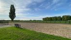 Verhuur van Paardenbak op centrale ligging in Stedendriehoek, Toebehoren, 4 paarden of pony's of meer
