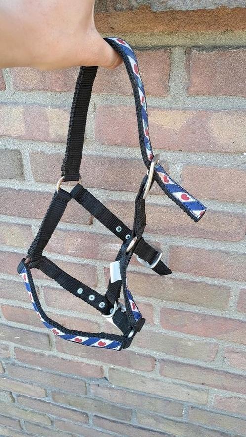 Veulen Halster friese vlag, Dieren en Toebehoren, Paarden en Pony's | Overige Paardenspullen, Zo goed als nieuw, Overige soorten