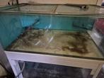 Gratis 2 aquariums, Dieren en Toebehoren, Vissen | Aquaria en Toebehoren, Ophalen, Gebruikt, Leeg aquarium