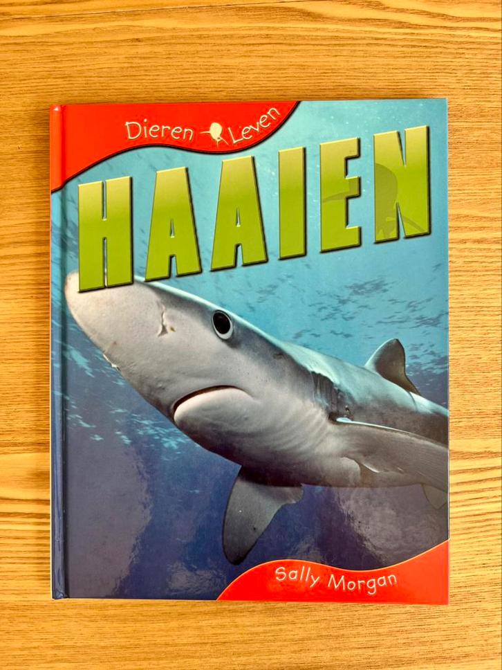Sally Morgan - Haaien, Boeken, Kinderboeken | Jeugd | onder 10 jaar, Zo goed als nieuw, Non-fictie, Ophalen of Verzenden