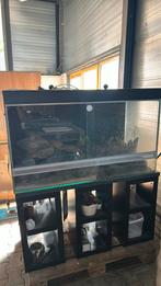 Grote terrarium 1300x770x600 mm, Ophalen of Verzenden, Zo goed als nieuw
