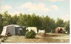 Oosterhout Kampeercentrum Bosgoed., Ophalen of Verzenden, 1960 tot 1980, Gelopen, Noord-Brabant