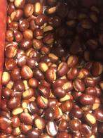 Tamme Kastanjes - Vers uit tuin van moeder, Diversen, Levensmiddelen, Ophalen of Verzenden