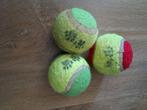 3 ballen hond, Dieren en Toebehoren, Hondenspeelgoed, Ophalen of Verzenden, Intelligentiespeelgoed