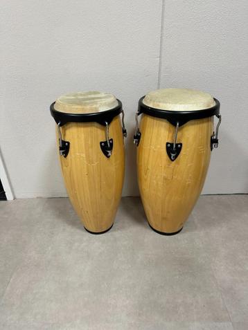 Quinto en Conga te koop beschikbaar voor biedingen