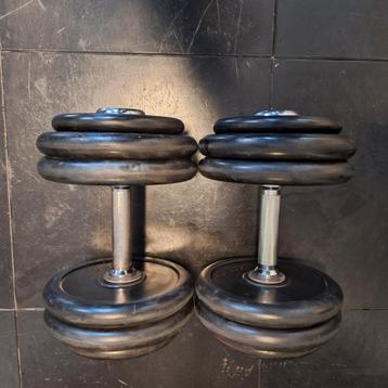 Set Dumbbells - Halters beschikbaar voor biedingen