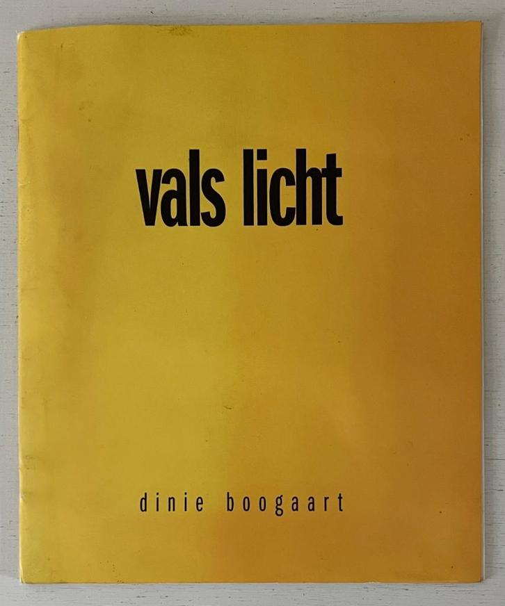 Vals licht - Dinie Boogaart, Boeken, Kunst en Cultuur | Beeldend, Gelezen, Ophalen of Verzenden