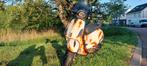 Vespa sprint 2019 , 80cc malossi. Zelion parts, Ophalen