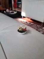 mini mundus miniaturen bloemen assorti in schaal, Verzamelen, Poppenhuizen en Toebehoren, Ophalen of Verzenden, Nieuw, Poppenhuis