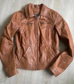 Arma bruin leren dames jas maat 34 nieuw!, Kleding | Dames, Bruin, Arma, Nieuw, Ophalen of Verzenden