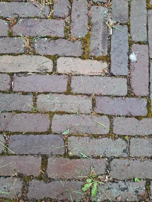 Oude gebakken dikformaat/7duimers.96m2, Tuin en Terras, Tegels en Klinkers, Gebruikt, Klinkers, 10 m² of meer, Ophalen