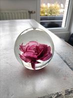 presse papier glas met bloem, Ophalen of Verzenden, Zo goed als nieuw