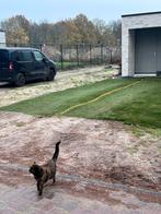 Nieuw kunstgras - direct leggen!, Tuin en Terras, Gras en Kunstgras, Ophalen, Nieuw, 10 tot 20 m², Kunstgras