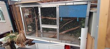 Vogel volière  beschikbaar voor biedingen