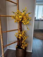 Forsythia kunstplant nieuw, Ophalen of Verzenden, Nieuw