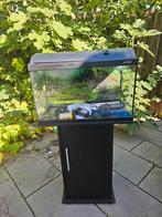Aquarium met bijpassende kast, Ophalen, Gebruikt, Leeg aquarium