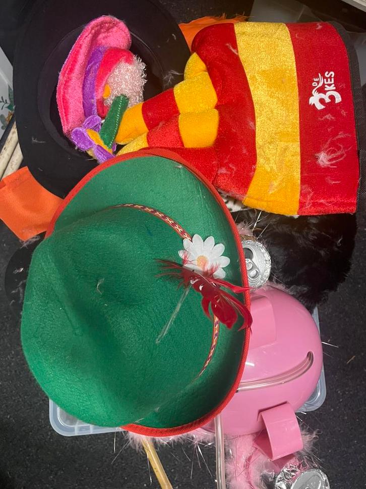 Carnavals artikelen, Hobby en Vrije tijd, Kostuums, Theaterbenodigdheden en LARP, Gebruikt, Ophalen