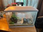 superfish 70 aqarium, Dieren en Toebehoren, Vissen | Aquaria en Toebehoren, Ophalen of Verzenden, Zo goed als nieuw, Leeg aquarium