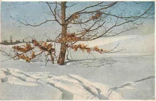 (377-648-009) Landschap, Verzamelen, Ansichtkaarten | Nederland, Verzenden