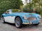 Austin Healey 3000 mk3, Auto's, Oldtimers, Te koop, Particulier