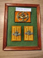 Prinses Irene Brigade, Verzamelen, Militaria | Algemeen, Ophalen of Verzenden, Landmacht, Nederland, Embleem of Badge