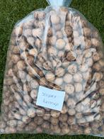 scopex hennep premium boilies, Ophalen of Verzenden, Nieuw, Overige typen