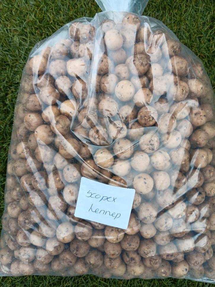 scopex hennep premium boilies, Watersport en Boten, Hengelsport | Karpervissen, Nieuw, Overige typen, Ophalen of Verzenden
