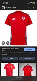 ‼️GEZOCHT‼️Gesigneerd wales voetbalshirt., Seizoenskaart, Eén persoon