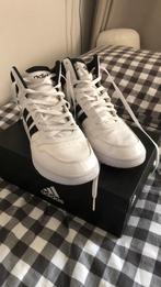 Heren Adidas Hoops schoenen maat 44, Sport en Fitness, Basketbal, Ophalen, Nieuw, Schoenen