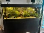 Prachtig Aqualife aquarium 150x60x50cm., Ophalen, Zo goed als nieuw